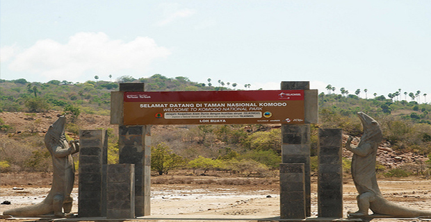 Resmi Pulau Komodo Menjadi Tempat Wisata Utama Nasional Indonesia