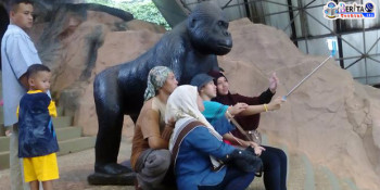 Patung Gorila Jadi Rebutan Para Wisatawan Ragunan Buat Berfoto